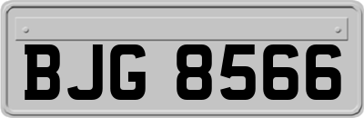 BJG8566