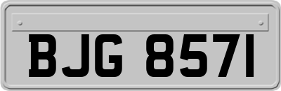 BJG8571