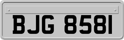 BJG8581