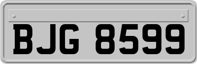BJG8599
