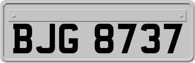 BJG8737