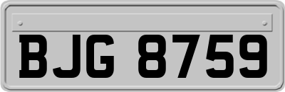 BJG8759