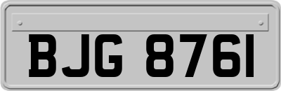 BJG8761