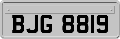 BJG8819