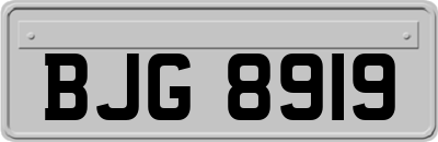 BJG8919