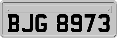 BJG8973
