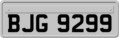 BJG9299