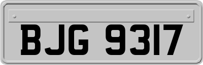 BJG9317