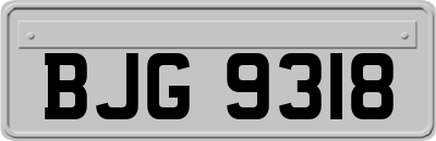 BJG9318