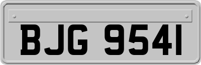 BJG9541