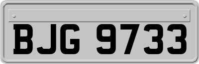 BJG9733