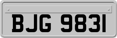 BJG9831