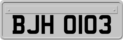 BJH0103