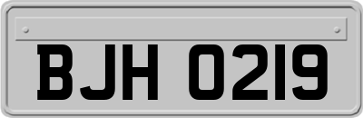 BJH0219