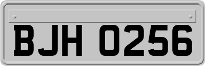 BJH0256