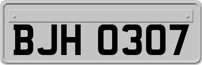BJH0307