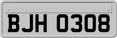 BJH0308