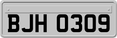BJH0309