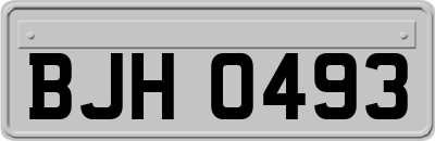 BJH0493