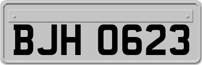 BJH0623