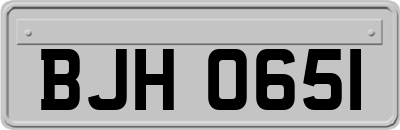 BJH0651