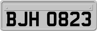 BJH0823