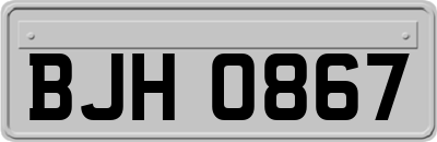 BJH0867