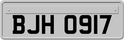 BJH0917