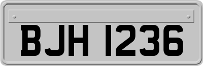 BJH1236