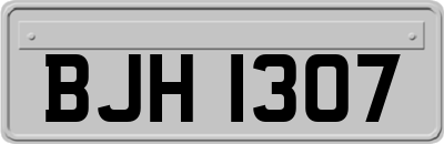 BJH1307