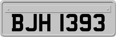 BJH1393
