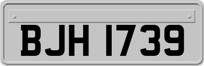 BJH1739