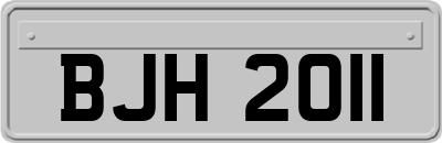 BJH2011