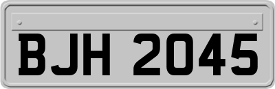 BJH2045