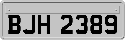 BJH2389