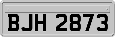 BJH2873