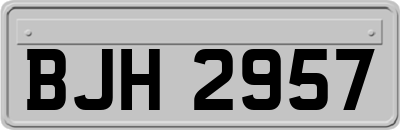 BJH2957