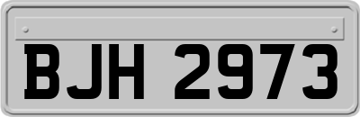 BJH2973