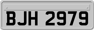 BJH2979