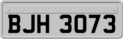 BJH3073