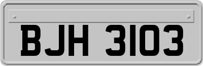 BJH3103