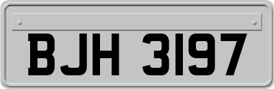 BJH3197