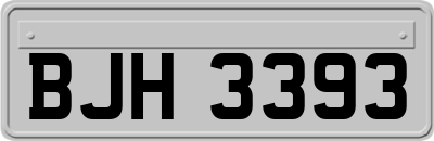 BJH3393