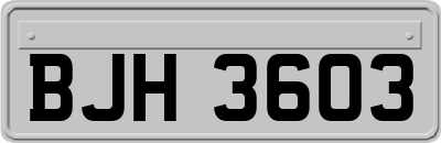 BJH3603