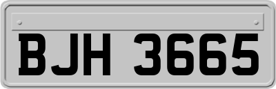 BJH3665