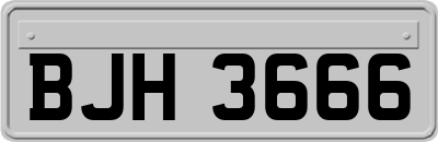 BJH3666