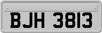 BJH3813