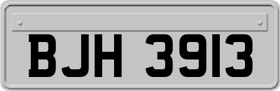 BJH3913