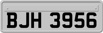 BJH3956