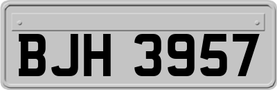 BJH3957